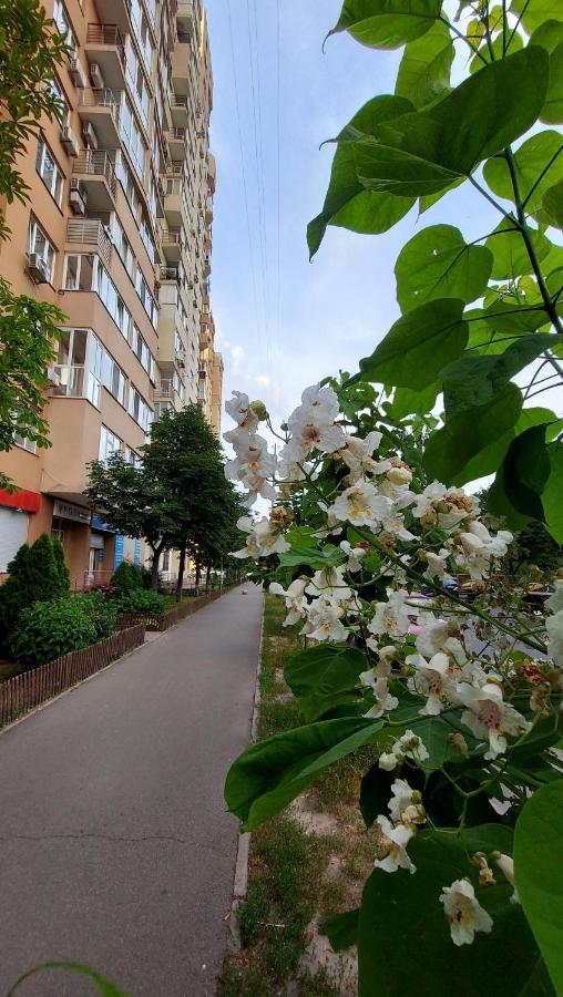 Просторі Апартаменти Kiev Esterno foto